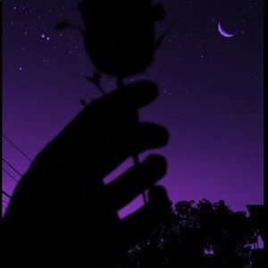 Meet your Posher, Alejandro